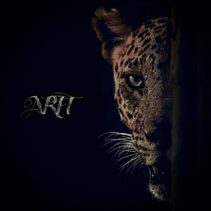 啪啪免费网站入口链接
